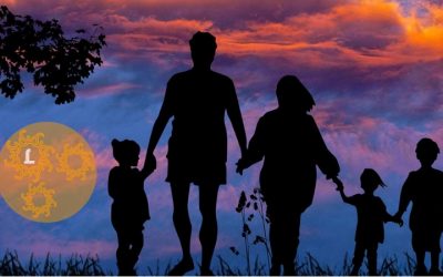 Hoe werkt de familiedynamiek op jouw leven?