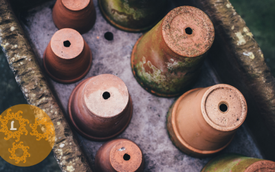 In een nieuwe pot: planten & verpotten