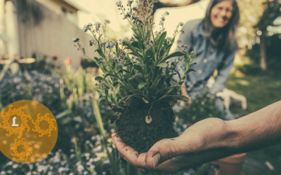 Meer groen: ook goed voor de natuur!