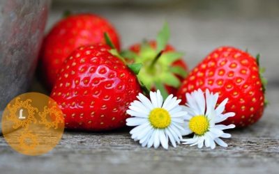 Bloemen op je bord?