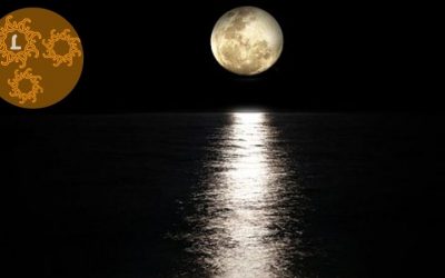 Volle maan: Boommaan