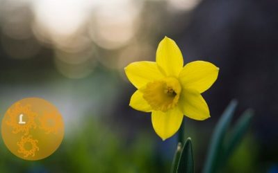 Lente: Het verhaal van Persephone