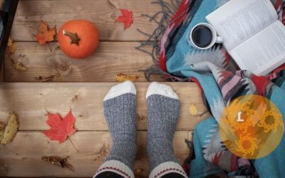 Wat oogst jij deze herfst-equinox?