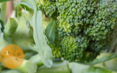 Recept: Broccolisoep met kruidenkaas