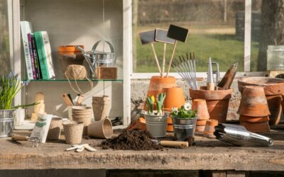 Lente! In 6 stappen alvast zomerbloeiers zaaien