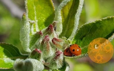 Beweeg mee met de lente!