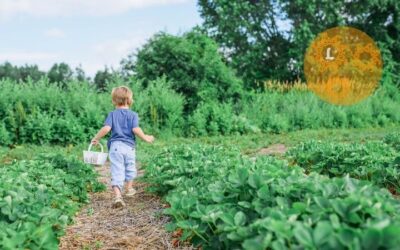 Tips om de biodiversiteit in je tuin te vergroten