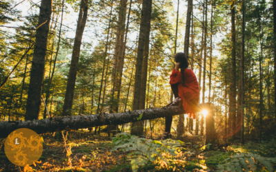 De Noordelijke Maansknoop in Stier of het 2e huis