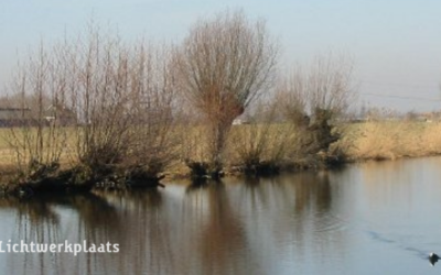 Wilgentenen in je tuin: creatief, goedkoop en natuurlijk mooi