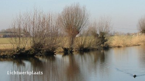 Wilgentenen in je tuin: creatief, goedkoop en natuurlijk mooi